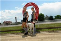 chrti_dostihy_Red_Mills_Cup_Czech_Greyhound_Racing_Federation_DSC00164.JPG