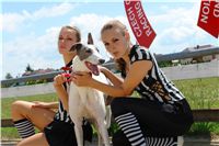chrti_dostihy_Red_Mills_Cup_Czech_Greyhound_Racing_Federation_DSC00172.JPG