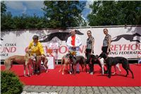 chrti_dostihy_Red_Mills_Cup_Czech_Greyhound_Racing_Federation_DSC00178.JPG