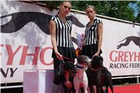 chrti_dostihy_Red_Mills_Cup_Czech_Greyhound_Racing_Federation_DSC00189.JPG