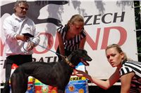 chrti_dostihy_Red_Mills_Cup_Czech_Greyhound_Racing_Federation_DSC00218.JPG