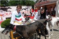 chrti_dostihy_Red_Mills_Cup_Czech_Greyhound_Racing_Federation_DSC00236.JPG