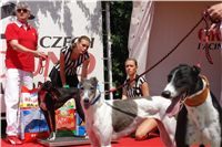 chrti_dostihy_Red_Mills_Cup_Czech_Greyhound_Racing_Federation_DSC00237.JPG