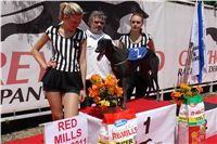 chrti_dostihy_Red_Mills_Cup_Czech_Greyhound_Racing_Federation_DSC00314.JPG