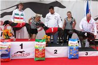 chrti_dostihy_Red_Mills_Cup_Czech_Greyhound_Racing_Federation_DSC00344.JPG