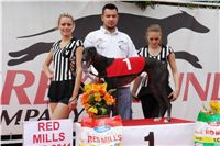 chrti_dostihy_Red_Mills_Cup_Czech_Greyhound_Racing_Federation_DSC00350.JPG