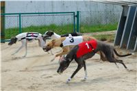 chrti_dostihy_Red_Mills_Cup_Czech_Greyhound_Racing_Federation_DSC00381.JPG