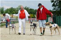 chrti_dostihy_Red_Mills_Cup_Czech_Greyhound_Racing_Federation_DSC00388.JPG