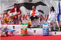 chrti_dostihy_Red_Mills_Cup_Czech_Greyhound_Racing_Federation_DSC00406.JPG