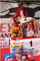 chrti_dostihy_Red_Mills_Cup_Czech_Greyhound_Racing_Federation_DSC00409.JPG