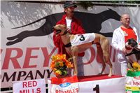 chrti_dostihy_Red_Mills_Cup_Czech_Greyhound_Racing_Federation_DSC00410.JPG