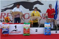 chrti_dostihy_Red_Mills_Cup_Czech_Greyhound_Racing_Federation_DSC00427.JPG