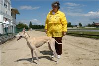 chrti_dostihy_Red_Mills_Cup_Czech_Greyhound_Racing_Federation_DSC00464.JPG