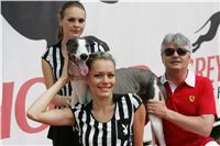 chrti_dostihy_Red_Mills_Cup_Czech_Greyhound_Racing_Federation_NQ1M0037.JPG