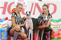 chrti_dostihy_Red_Mills_Cup_Czech_Greyhound_Racing_Federation_NQ1M0053_v.JPG
