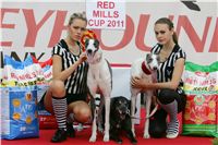 chrti_dostihy_Red_Mills_Cup_Czech_Greyhound_Racing_Federation_NQ1M0061.JPG
