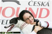 chrti_dostihy_Red_Mills_Cup_Czech_Greyhound_Racing_Federation_NQ1M0099.JPG