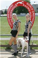 chrti_dostihy_Red_Mills_Cup_Czech_Greyhound_Racing_Federation_NQ1M0169.JPG