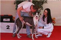 chrti_dostihy_Red_Mills_Cup_Czech_Greyhound_Racing_Federation_NQ1M0193.JPG