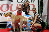 chrti_dostihy_Red_Mills_Cup_Czech_Greyhound_Racing_Federation_NQ1M0252.JPG