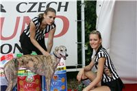 chrti_dostihy_Red_Mills_Cup_Czech_Greyhound_Racing_Federation_NQ1M0295.JPG
