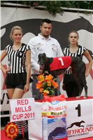 chrti_dostihy_Red_Mills_Cup_Czech_Greyhound_Racing_Federation_NQ1M0486.JPG