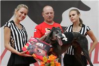 chrti_dostihy_Red_Mills_Cup_Czech_Greyhound_Racing_Federation_NQ1M0495.jpg