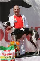 chrti_dostihy_Red_Mills_Cup_Czech_Greyhound_Racing_Federation_NQ1M0555.JPG