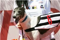 chrti_dostihy_Red_Mills_Cup_Czech_Greyhound_Racing_Federation_NQ1M0563.JPG