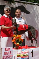 chrti_dostihy_Red_Mills_Cup_Czech_Greyhound_Racing_Federation_NQ1M0567.JPG