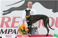 chrti_dostihy_Red_Mills_Cup_Czech_Greyhound_Racing_Federation_NQ1M0572.JPG