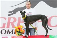 chrti_dostihy_Red_Mills_Cup_Czech_Greyhound_Racing_Federation_NQ1M0575-u.jpg