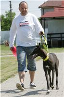 chrti_dostihy_Red_Mills_Cup_Czech_Greyhound_Racing_Federation_NQ1M0615.JPG