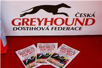 chrti_dostihy_Red_Mills_Cup_Czech_Greyhound_Racing_Federation_xNQ1M0009.JPG