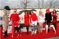 chrt_NewMac_Dior_Ceska_greyhound_dostihova_federace_DSC00037.JPG