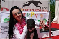 chrt_NewMac_Dior_Ceska_greyhound_dostihova_federace_DSC01564.JPG