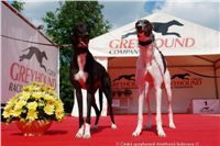 chrt_NewMac_Dior_Ceska_greyhound_dostihova_federace_DSC02583.jpg