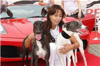 chrt_NewMac_Dior_Ceska_greyhound_dostihova_federace_DSC05199.JPG