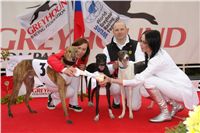 chrt_NewMac_Dior_Ceska_greyhound_dostihova_federace_DSC09096.JPG