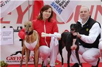 chrt_NewMac_Dior_Ceska_greyhound_dostihova_federace_DSC09116.JPG