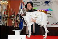 Chrt_White_Elbony_Czech_Greyhound_Racing_Federation_Preucil_DSC_0136_v.jpg