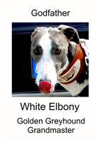 White_Elbony__Zlaty_chrt_Velmistr_Ceska_greyhound_dostihova_federace.jpg