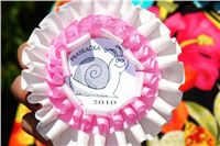 Snail_race_Summer_Prix_Czech_Greyhound_Racing_federation_DSC07803.JPG