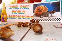 Snail_Race_World_Championship_CGDF_DSC04974.JPG
