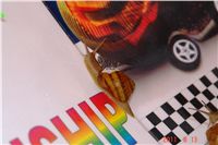 Snail_Race_World_Championship_CGDF_DSC04975.jpg