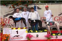 chrti_dostihy_Summe_Prix_Czech_Greyhound_Racing_Federation_DSC04824.jpg