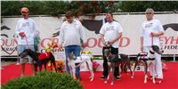 chrti_dostihy_Summe_Prix_Czech_Greyhound_Racing_Federation_DSC04836.JPG