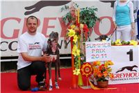 chrti_dostihy_Summe_Prix_Czech_Greyhound_Racing_Federation_DSC04864.JPG