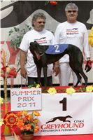 chrti_dostihy_Summe_Prix_Czech_Greyhound_Racing_Federation_NQ1M4814.JPG