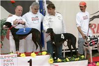 chrti_dostihy_Summe_Prix_Czech_Greyhound_Racing_Federation_NQ1M4889.JPG